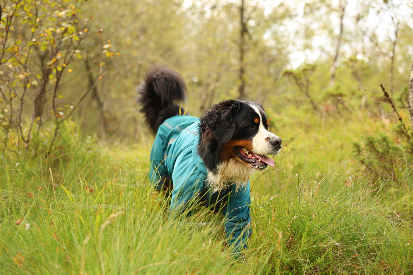 Fjord overall raincoat オーバーオール アクティブレイン