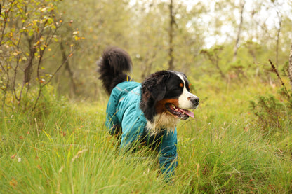 Fjord overall raincoat オーバーオール アクティブレイン