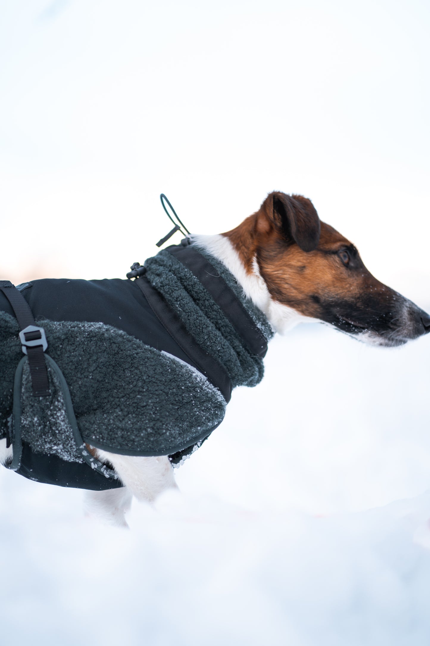 wool dog jacket 雪山・スキー対応 犬用ウールジャケット