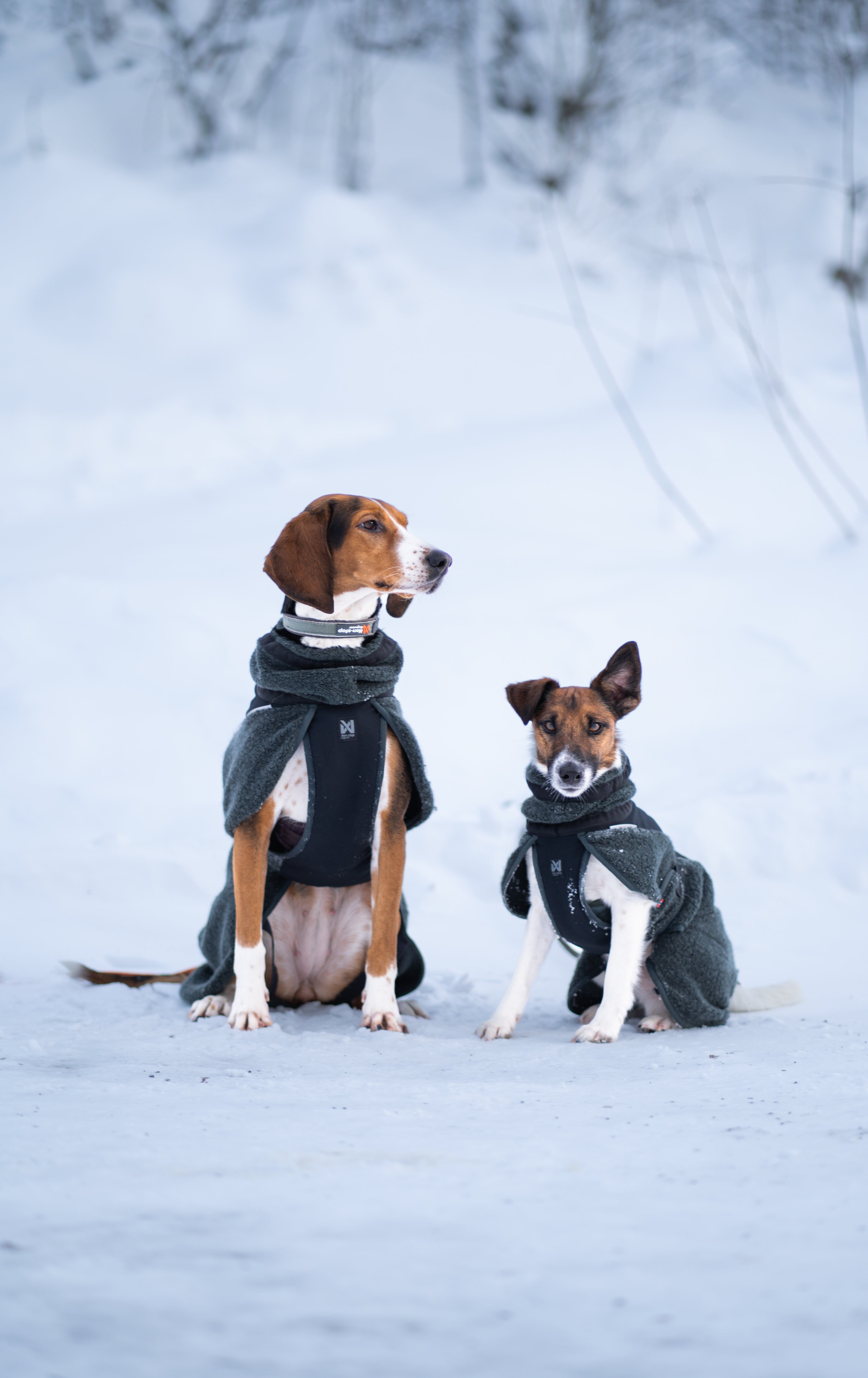 wool dog jacket 雪山・スキー対応 犬用ウールジャケット – イヌと
