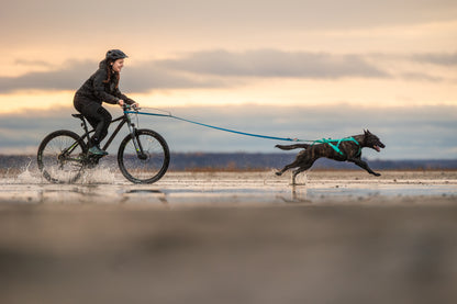 犬用ハーネス 犬の引く力を活かすドッグスポーツ用ハーネス Freemotion Harness 5.0