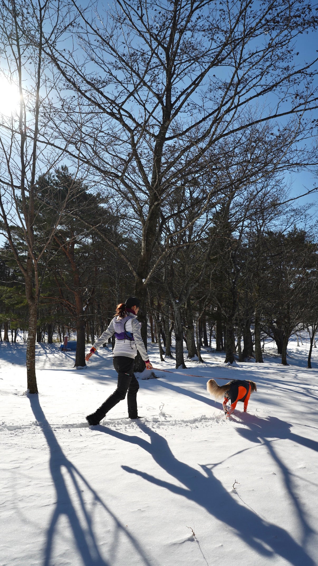 1/17 イヌと雪で遊ぼう㏌西郷村 スノートレッキング日帰りランチ付