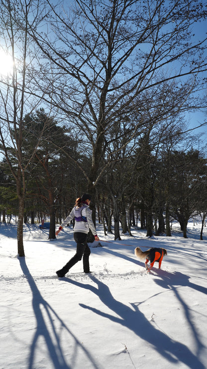 1/17 イヌと雪で遊ぼう㏌西郷村 スノートレッキング日帰りランチ付