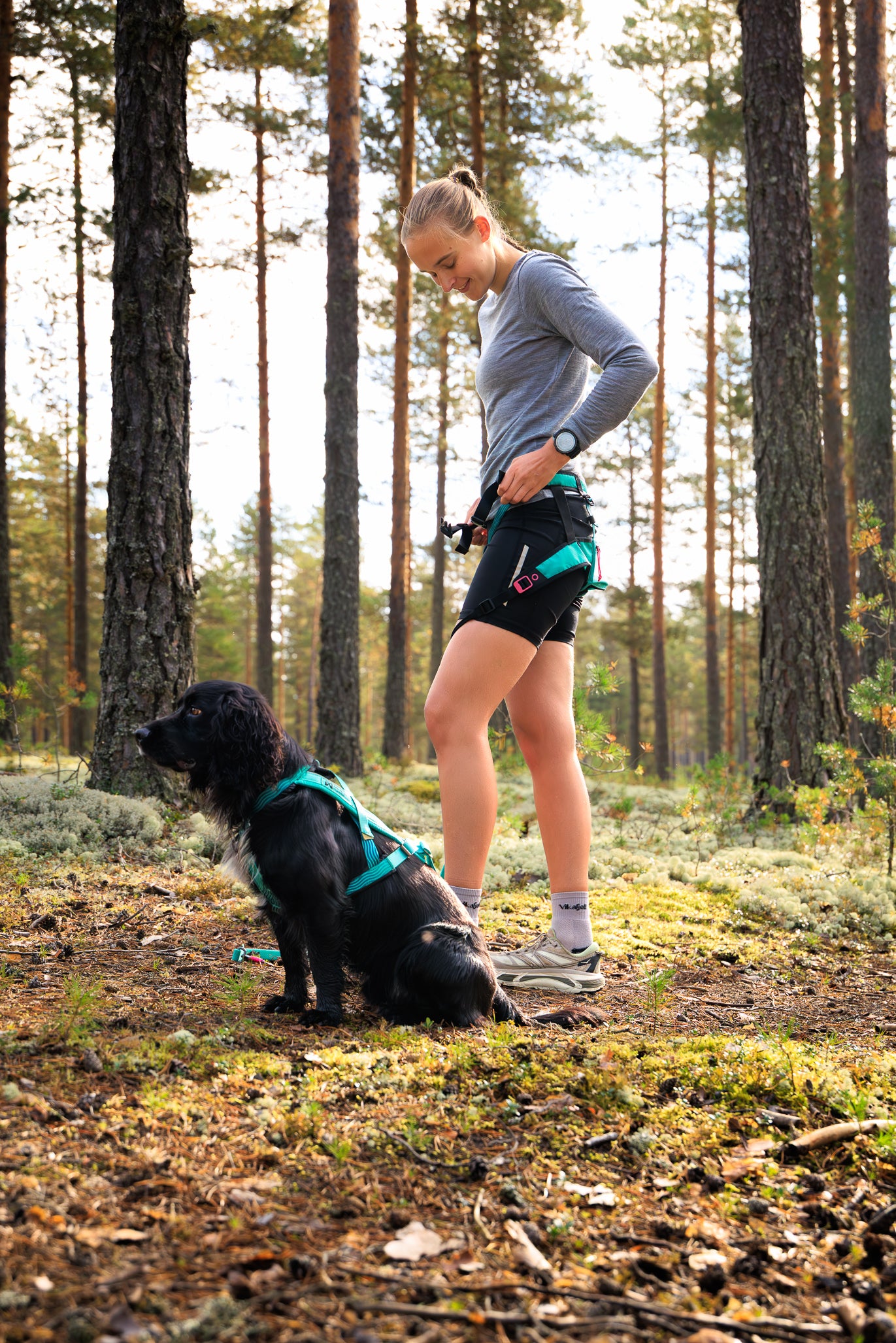 Bungee leash カニクロス、バイクジョアリング用リード【即日発送】