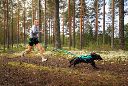 犬用ハーネス 犬の引く力を活かすドッグスポーツ用ハーネス Freemotion Harness 5.0