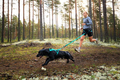 犬用ハーネス 犬の引く力を活かすドッグスポーツ用ハーネス Freemotion Harness 5.0