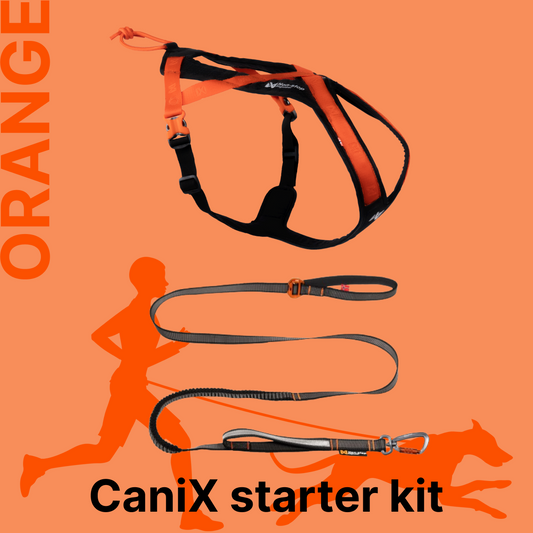 カニクロスはじめてセット（ORANGE）犬と一緒に走るための2点セット