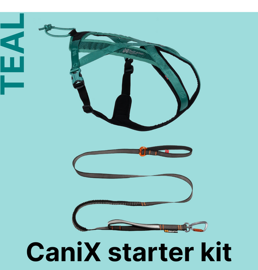 カニクロスはじめてセット（TEAL）犬と一緒に走るための2点セット