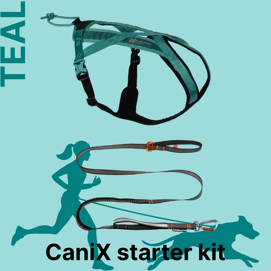 カニクロスはじめてセット（TEAL）犬と一緒に走るための2点セット