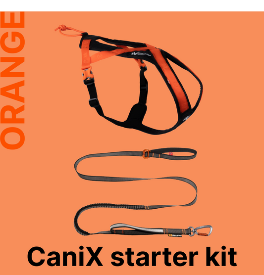 カニクロスはじめてセット（ORANGE）犬と一緒に走るための2点セット