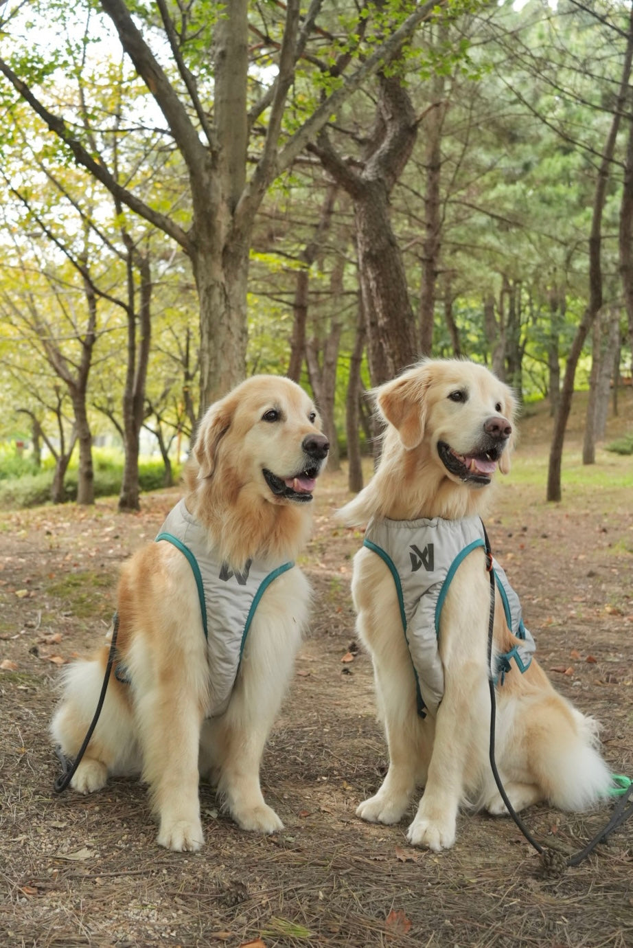 夏用冷却犬用クールベスト 熱中症対策 Cooling vest【即日発送