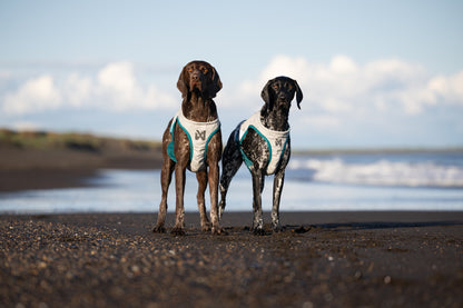 夏用冷却犬用クールベスト 熱中症対策 Cooling vest【即日発送】