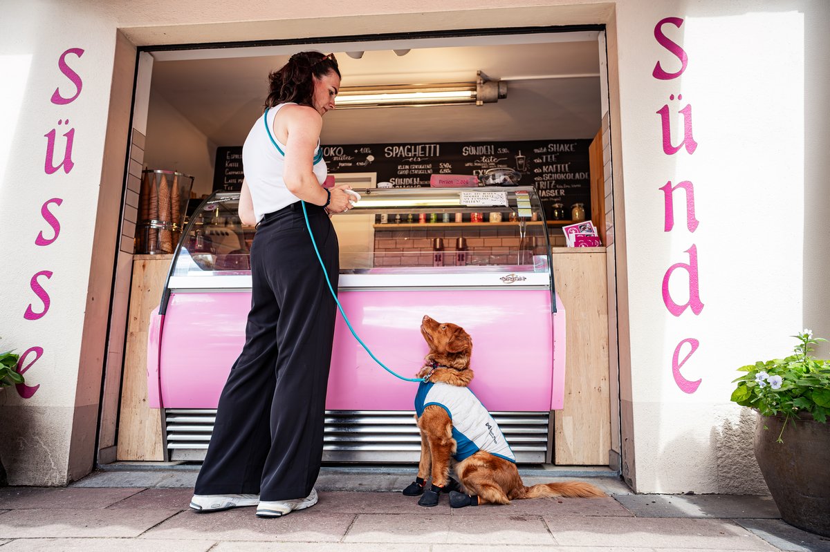 毎日の散歩に高耐久リード Trekking rope leash