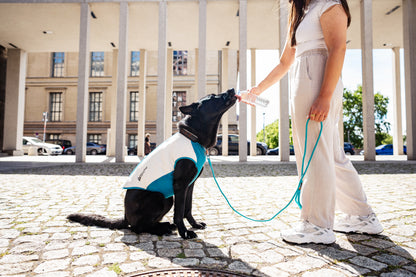 Rock collar 3.0 テクニカルな犬用首輪
