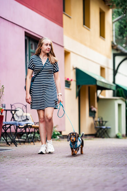 毎日の散歩に高耐久リード Trekking rope leash
