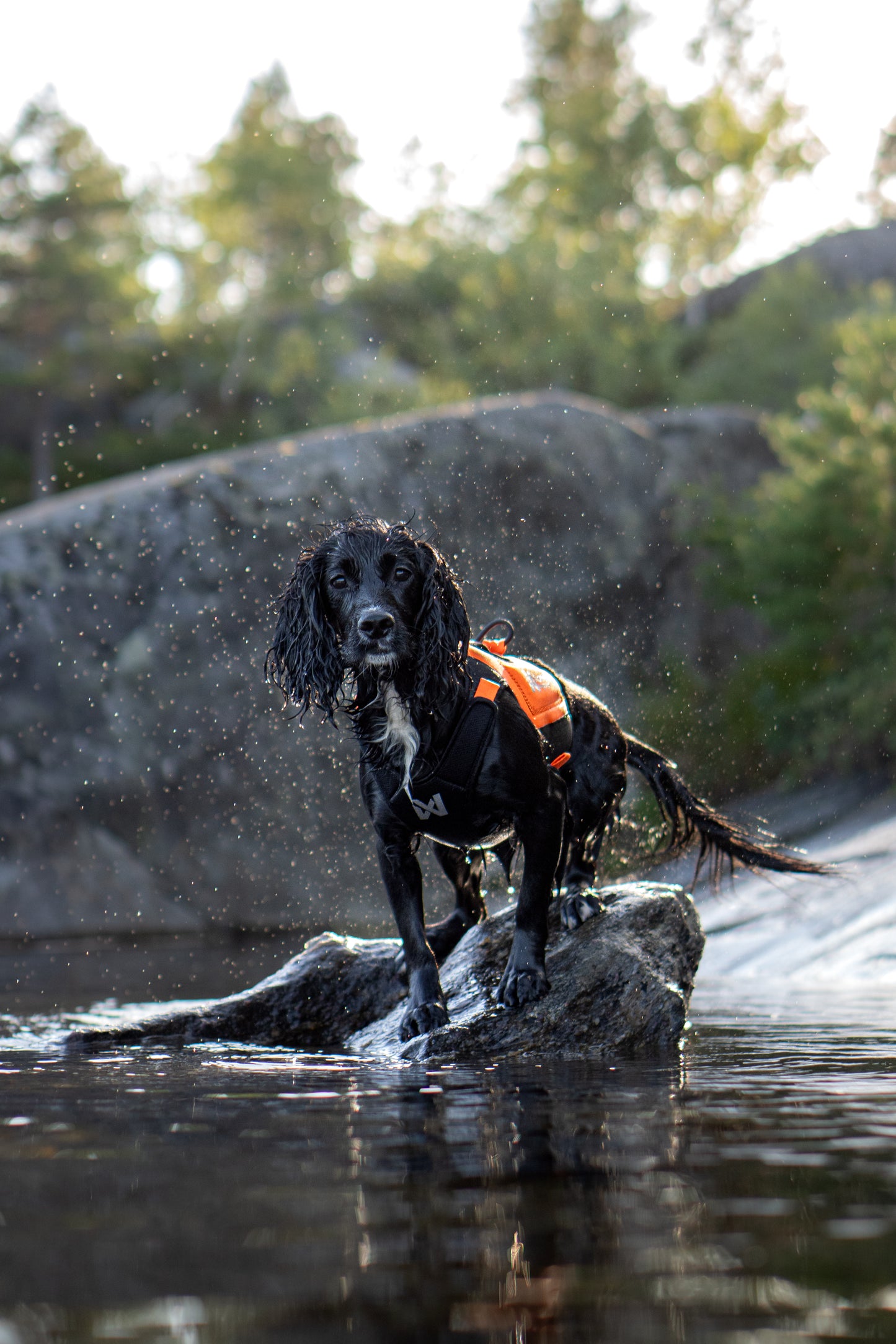 Protector neoprene vest 冷え対応・高保温のプロ仕様ネオプレーンベスト