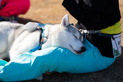 八ヶ岳ドッグロゲイニング in 清里の森 4/26