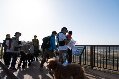 八ヶ岳ドッグロゲイニング in 清里の森 4/26