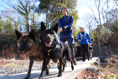 秩父ドッグロゲイニングin羊山公園 10/25
