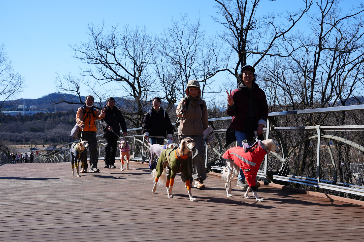 秩父ドッグロゲイニングin羊山公園 10/25