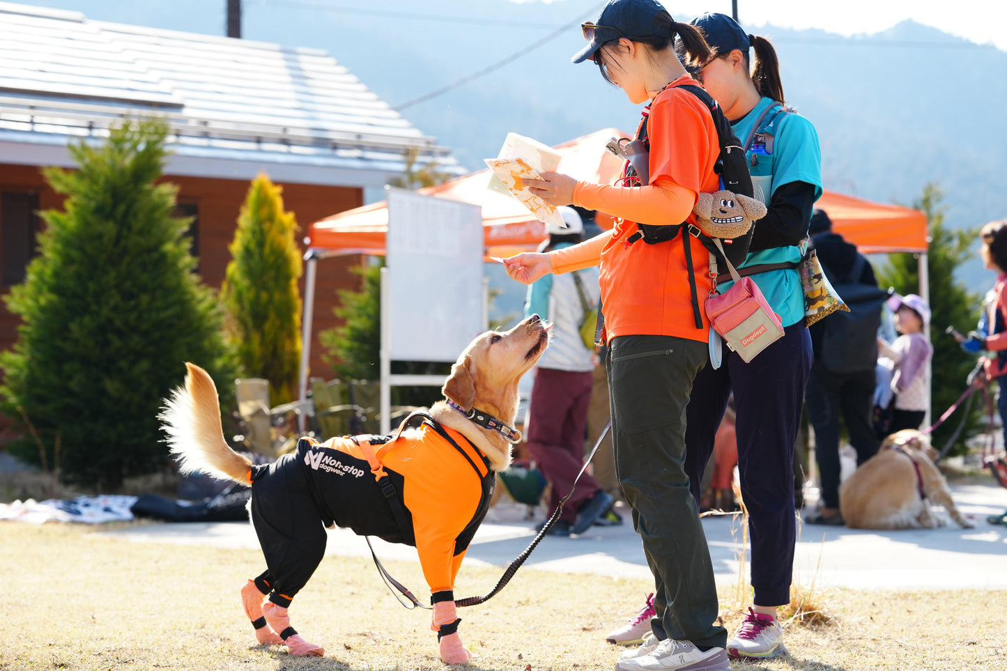 秩父ドッグロゲイニングin羊山公園 10/25
