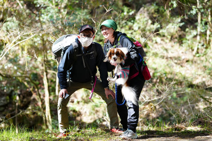 秩父ドッグロゲイニングin羊山公園 10/25