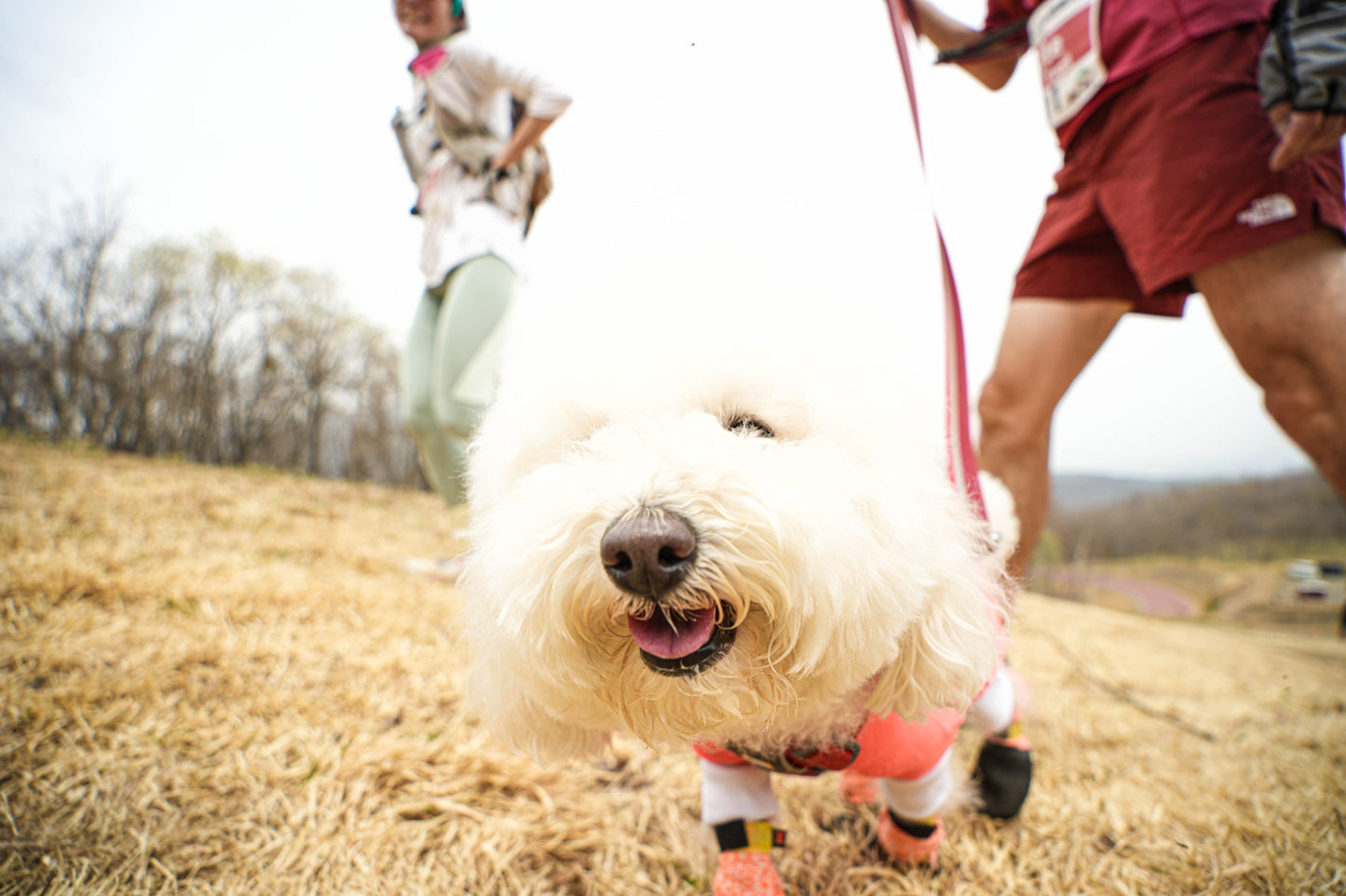 第2回 東北カニクロス in 西郷村