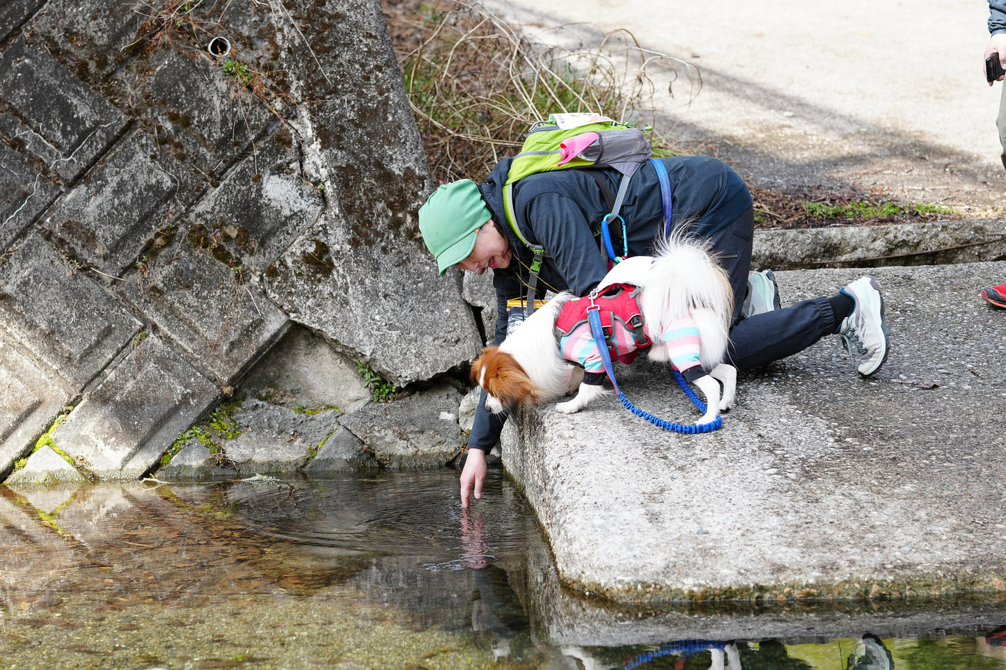 秩父ドッグロゲイニングin羊山公園 10/25