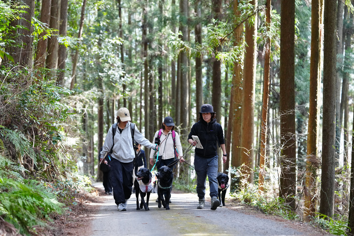 秩父ドッグロゲイニングin羊山公園 10/25