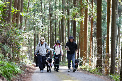 秩父ドッグロゲイニングin羊山公園 10/25