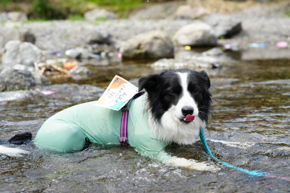 秩父ドッグロゲイニングin羊山公園 10/25
