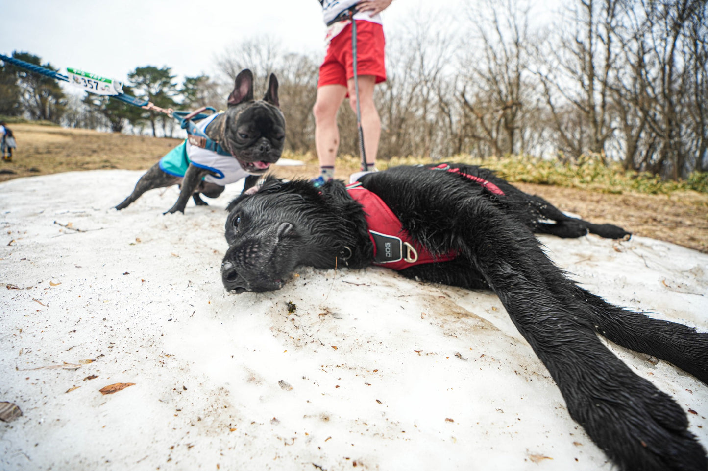 第2回 東北カニクロス in 西郷村