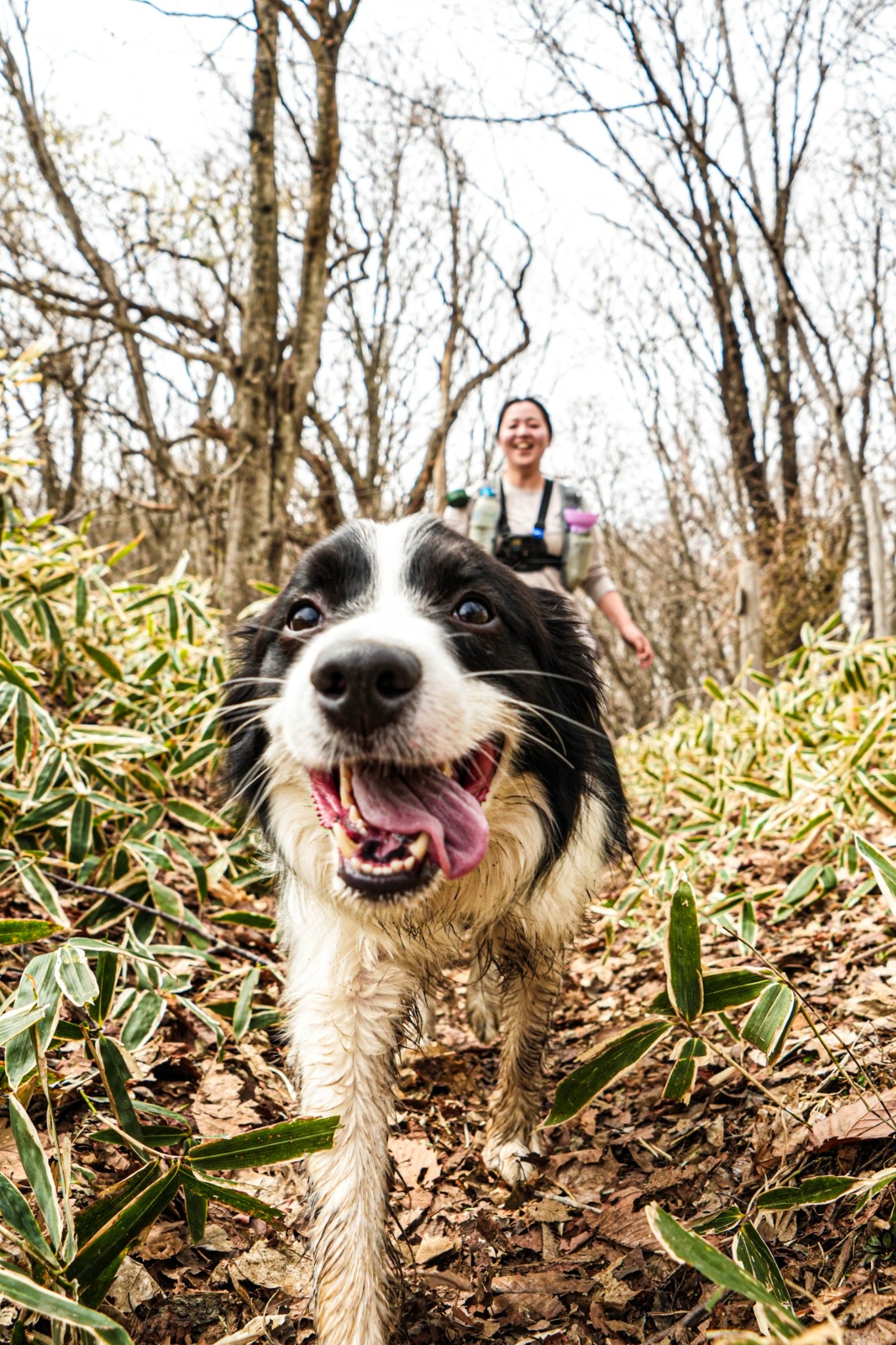 第2回 東北カニクロス in 西郷村