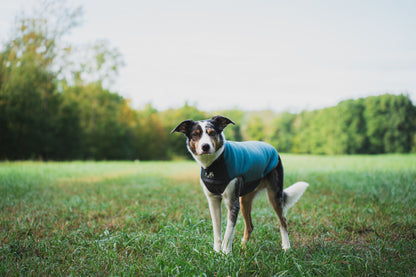 Trail quest fleece pullover 軽くて暖かい快適フリース