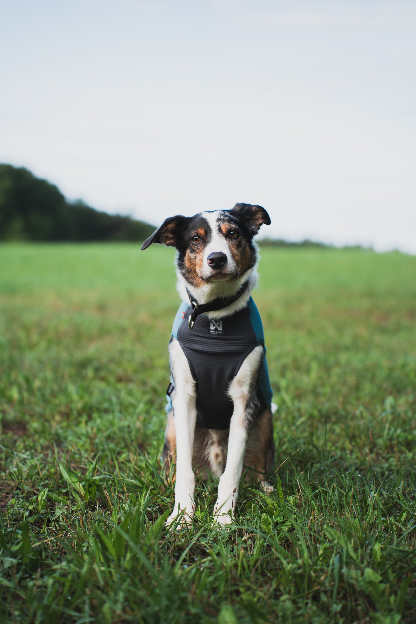 Trail quest fleece pullover 軽くて暖かい快適フリース