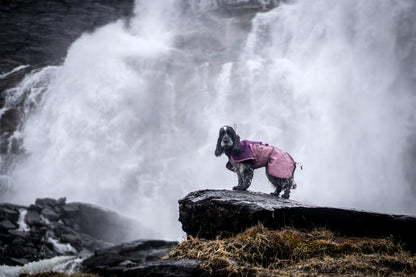 Fjord raincoat 2.0 全天候型ドッグレインコート