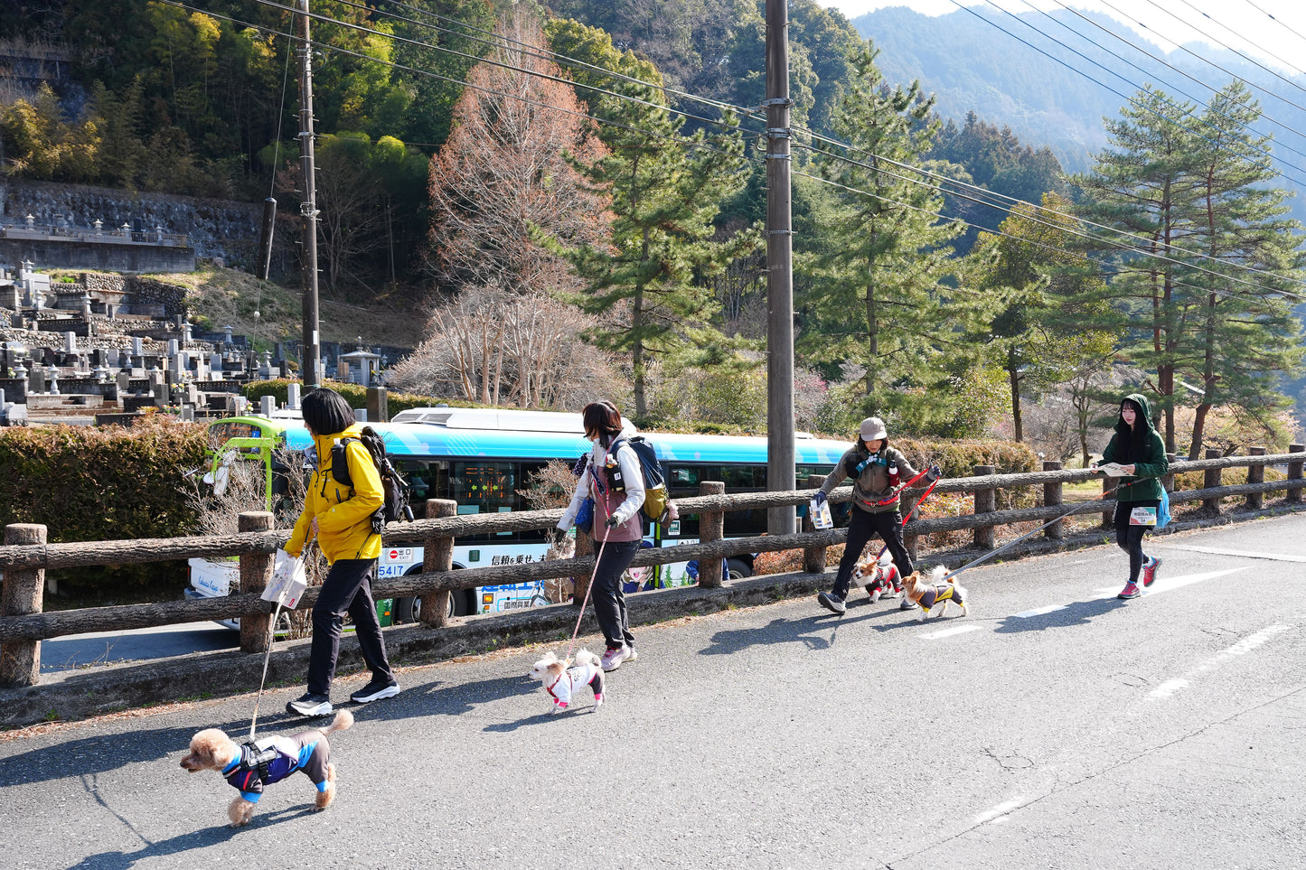 秩父ドッグロゲイニングin羊山公園 10/25
