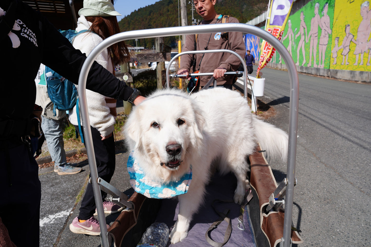 秩父ドッグロゲイニングin羊山公園 10/25