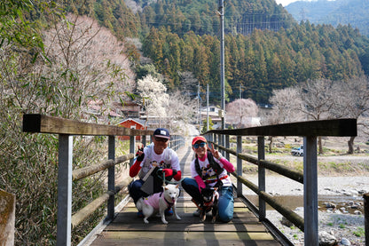 秩父ドッグロゲイニングin羊山公園 10/25