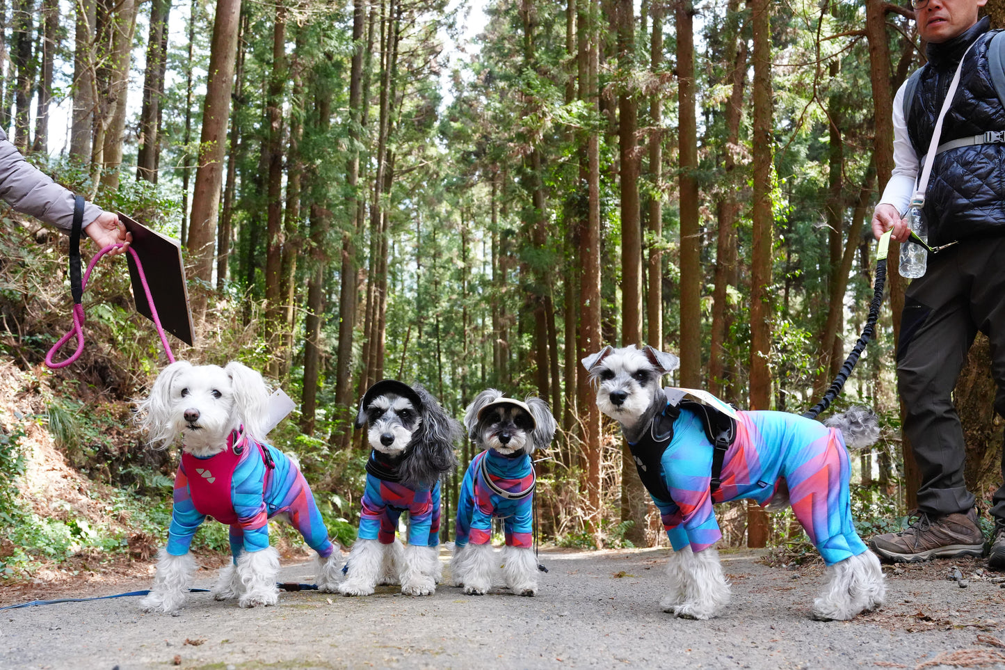 秩父ドッグロゲイニングin羊山公園 10/25