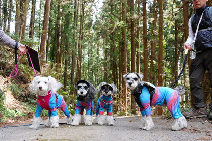 秩父ドッグロゲイニングin羊山公園 10/25