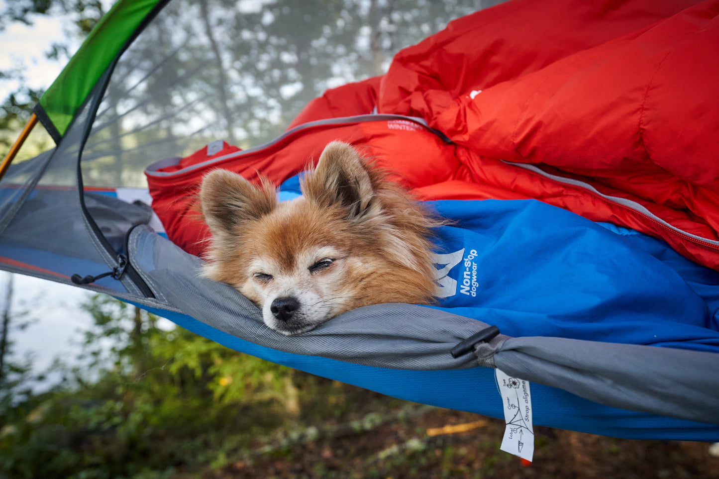 Ly sleeping bag キャンプ犬用寝袋