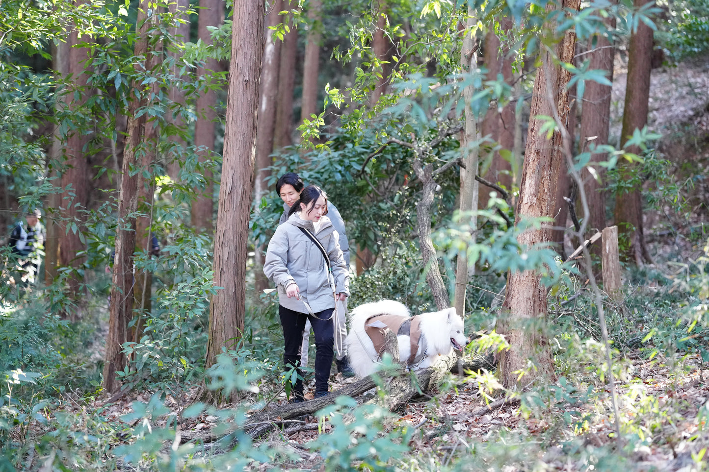 秩父ドッグロゲイニングin羊山公園 10/25