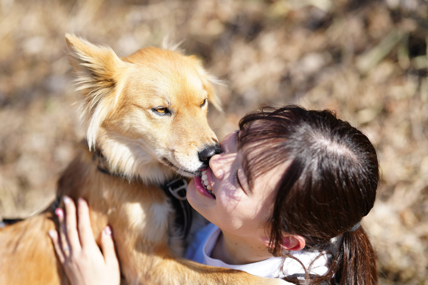 秩父ドッグロゲイニングin羊山公園 10/25