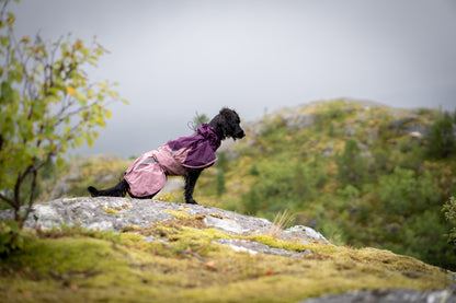 Fjord raincoat 2.0 全天候型ドッグレインコート