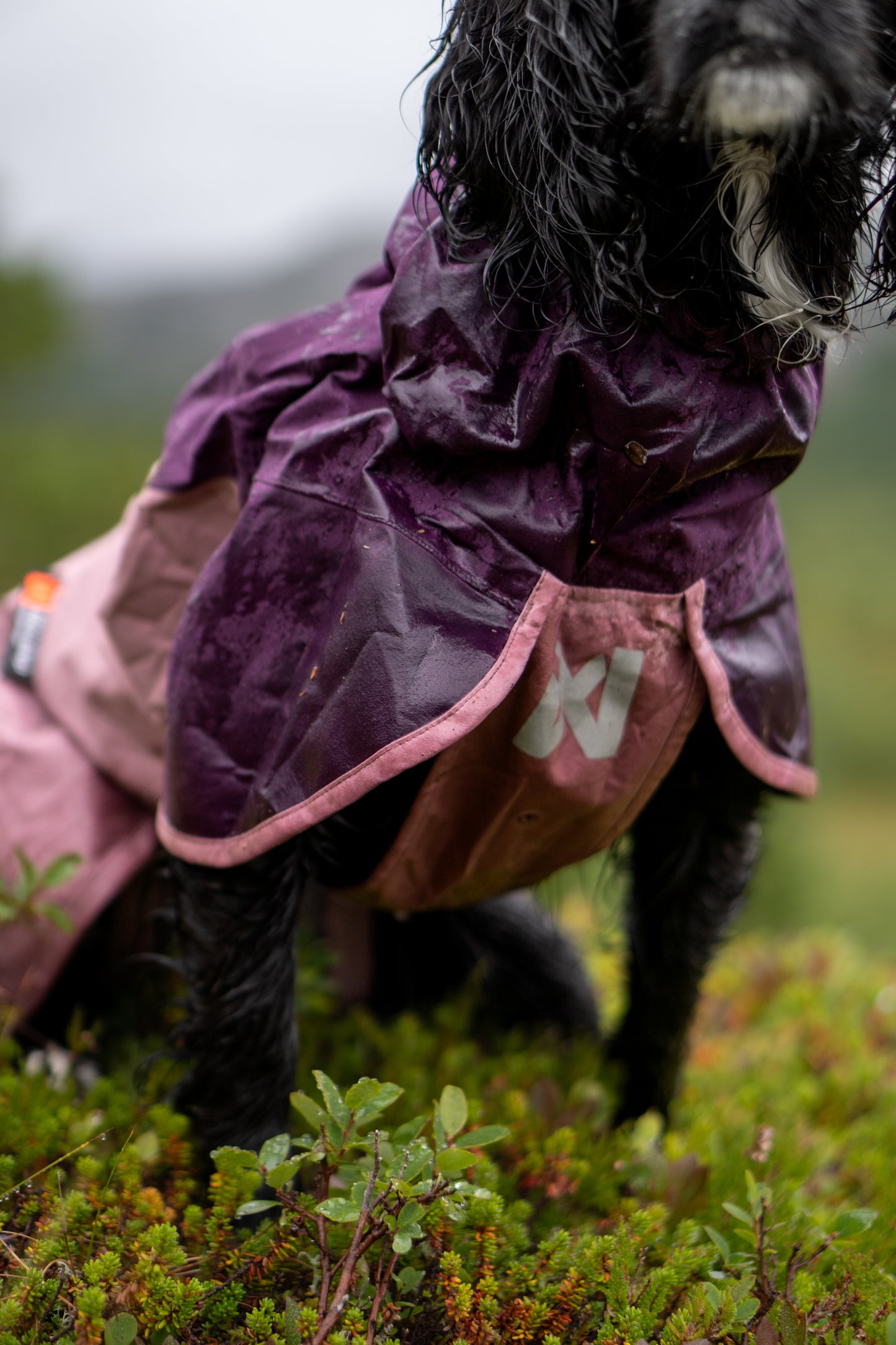 Fjord raincoat 2.0 全天候型ドッグレインコート
