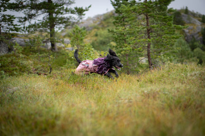 Fjord raincoat 2.0 全天候型ドッグレインコート