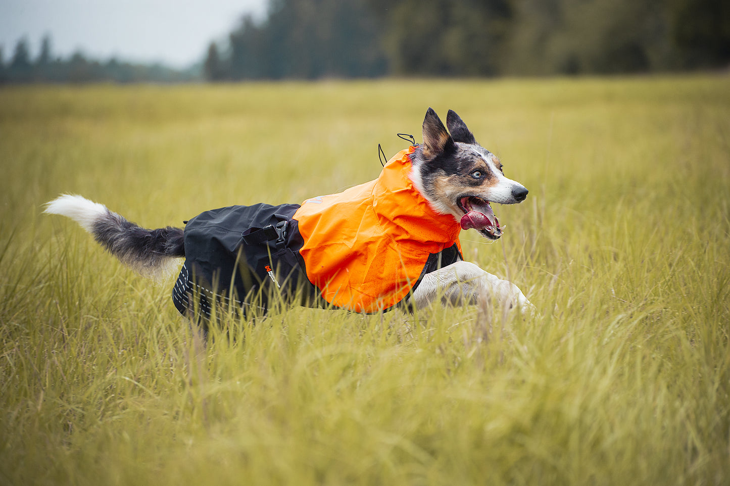 Fjord raincoat レインコート