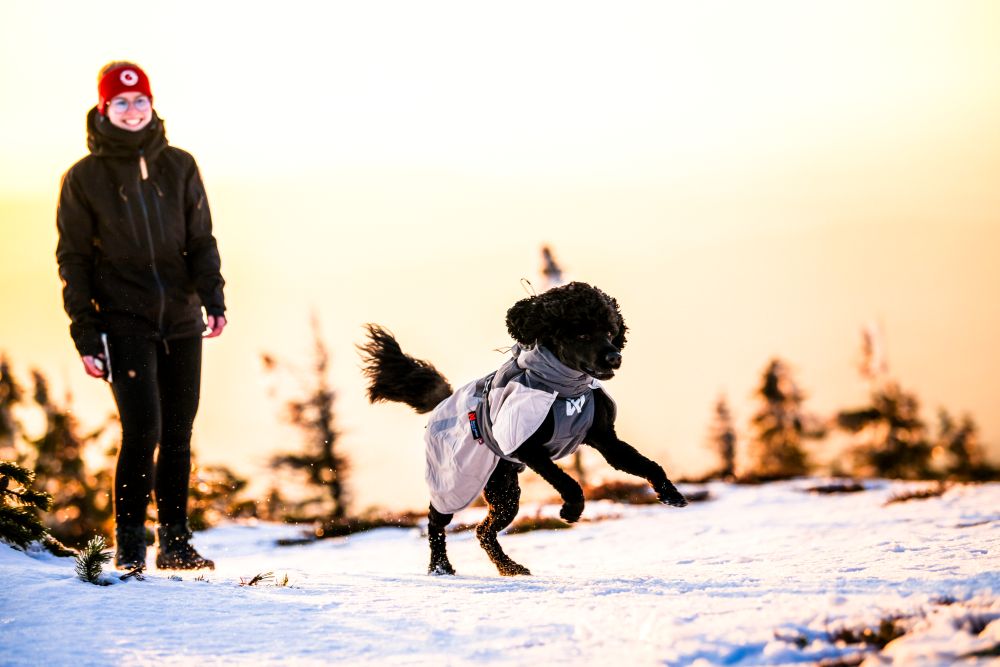 Glacier wool jacket 3.0 極寒でも温かい高機能犬用ジャケット