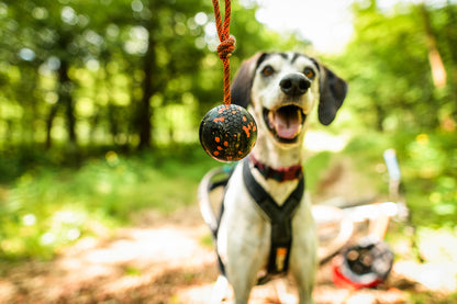 Dog ball on rope 耐久性のあるロープ付きおもちゃ